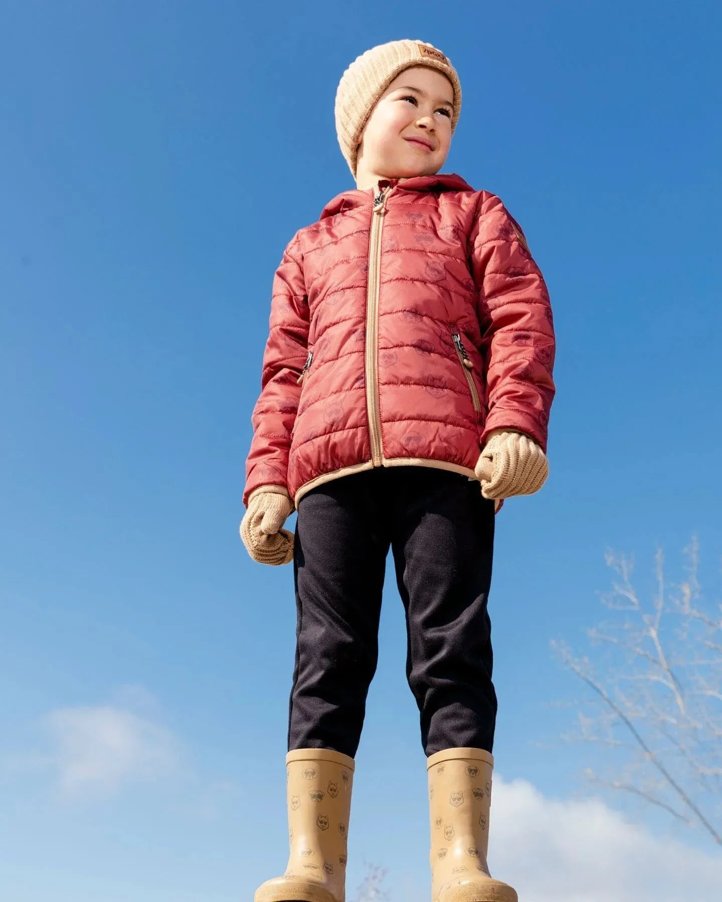Deux Par Deux Boys Quilted Jacket  F30W57  Dogs Red *
